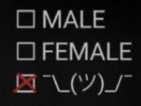 My gender is 