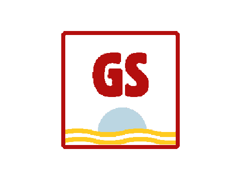 Sponsor: GS