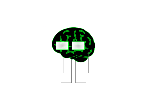 Digibrain