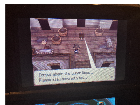 Darkrai what did you do!?