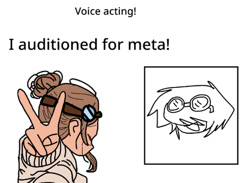I auditioned for Meta!