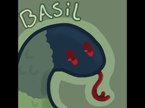 WTAE - Basil <3
