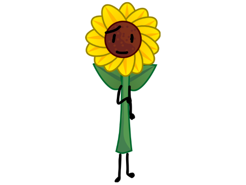 sunflower v3