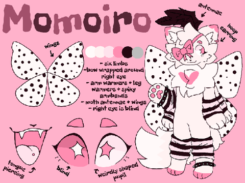 momoiro reference :3