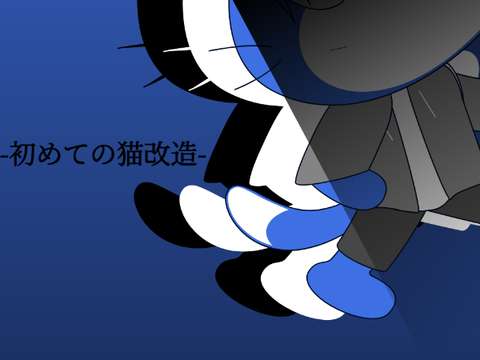 猫改造 -初めての猫改造-