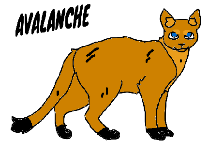 Avalanche the mountain lion THE ENDLESS PERILS