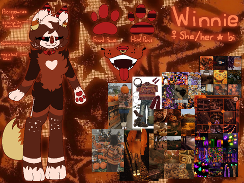 new winnie ref