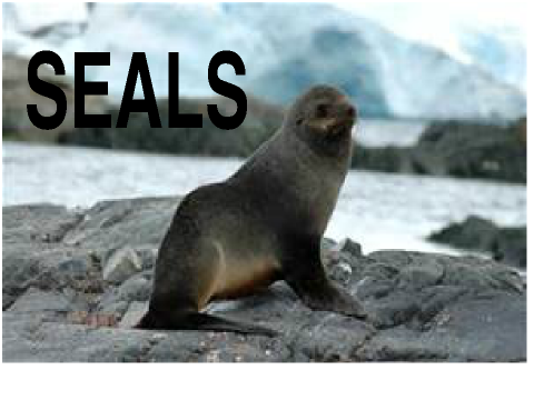 Seals