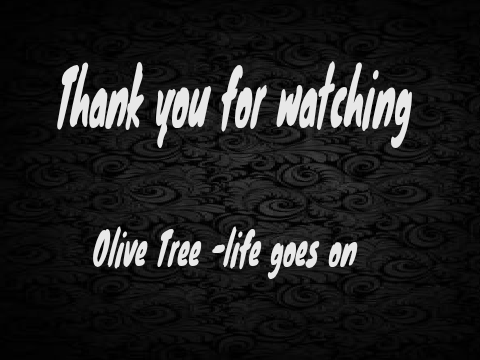 life goes on and on