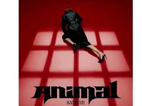 ANIMAL KATSEYE teaser