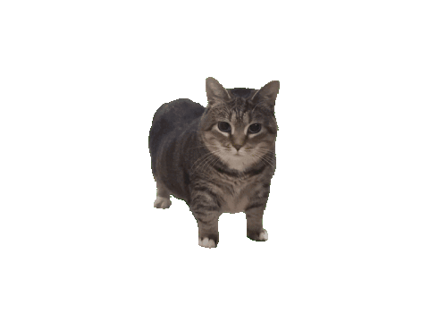 OIAOAIOAIOAIOAIOAIAOIAOIOAIOAIOAIAOIOAIAOIOAIOAIOAIOAIOAIOAIOAIOAIOAIOAIOAIOAOAOAIOAIOAIOAIOAIOAIOAI