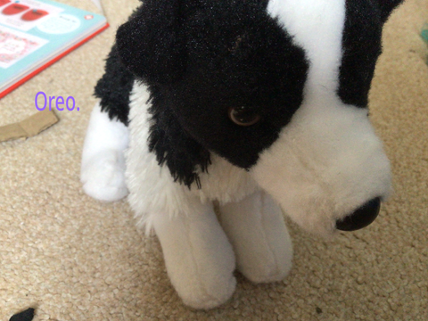Oreo gets dressed :3