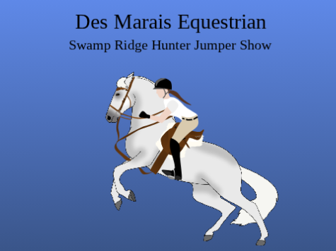 SR Shows: Spring/Summer series entry!
