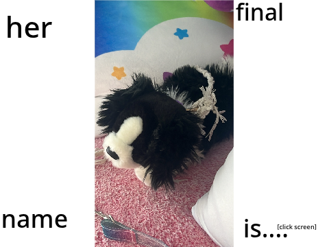 I need a name for new ESSA