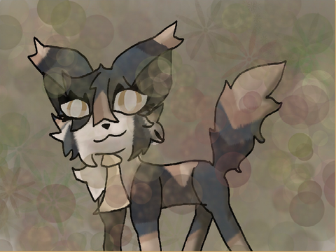 AT with Rainzy- 