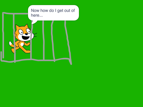 The escape of the fears cat