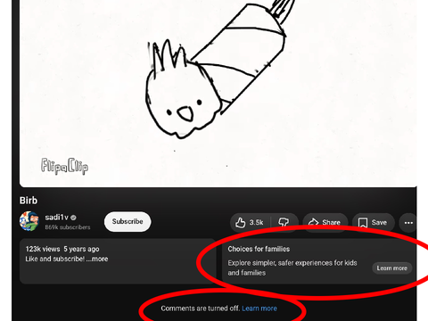 Sadie's first vid got COPPA'd D: