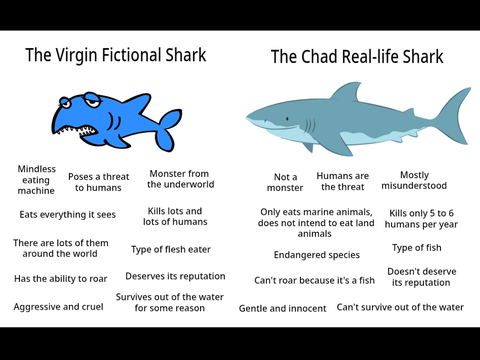 Why we shouldn't fear sharks