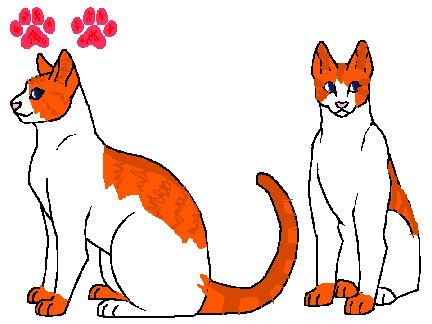 My cat oc