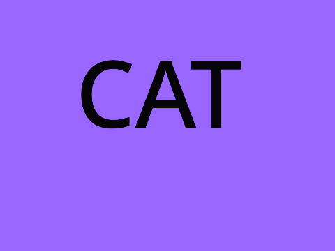 A cat