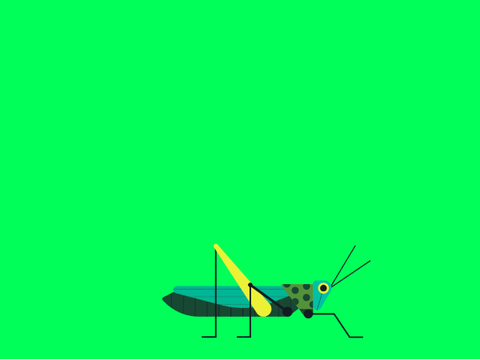 GRASSHOPPER 2