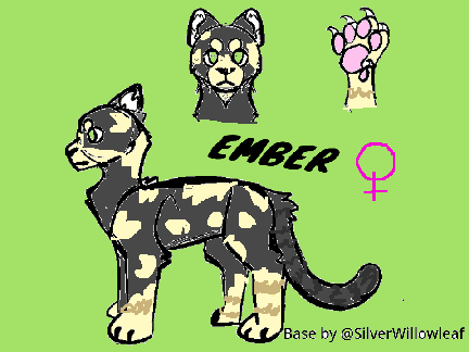 Ember, my cat in real life
