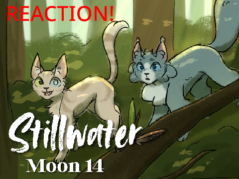 REACTION | Moon 14 | Stillwater
