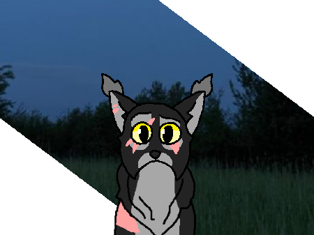 Into the story - meme remix Rainwhisper