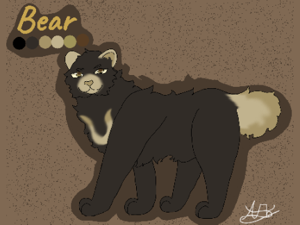 Bear/Dad