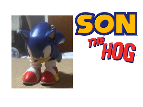 son the hog irl remake