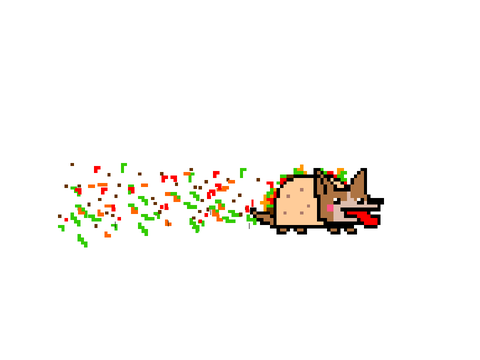 fiesta dog ^^ 