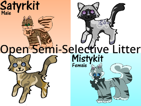 We Will Rise - Open SS P Litter