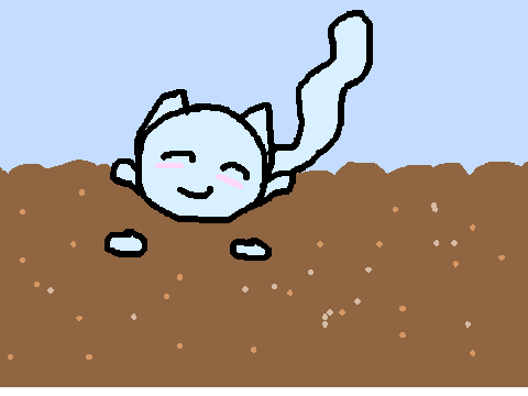 THE CAT!!!
