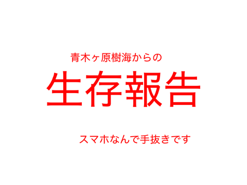 生存報告