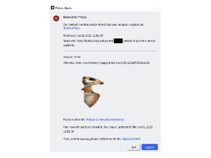 WHAT IS THIS ROBLOX BAN?