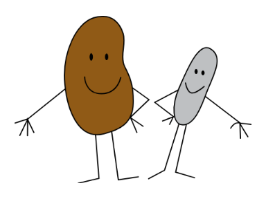 beans and rice