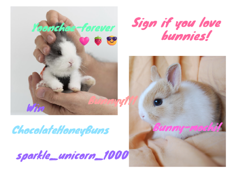 Sign if you love bunnies!  remixremixremix