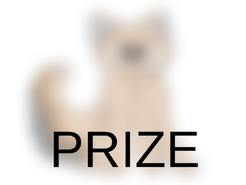 30+ DTA prize for @honeyfrench_toast