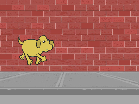 DOG DASH!