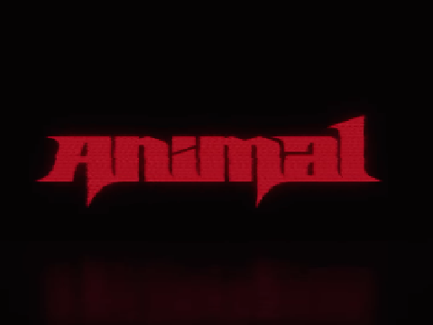 Animal - Katseye