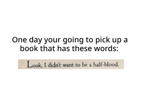 For all the people who haven't read Percy Jackson remix