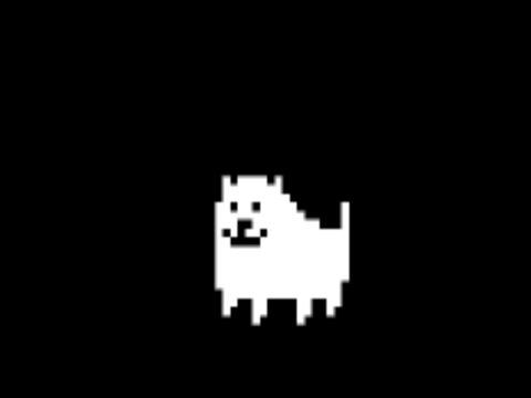 Pet annoying dog 