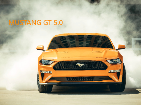 2019 Ford Mustang GT beta "supercharched"