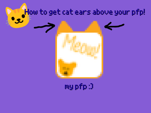how to get cat ears above your pfp!
