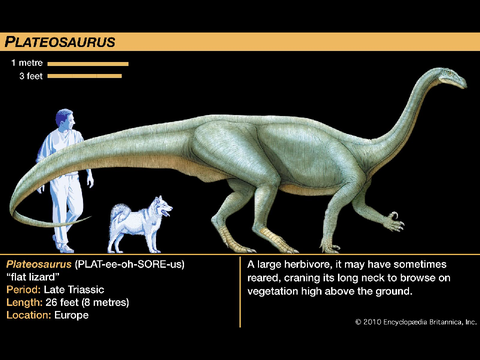 Dinosaur sounds