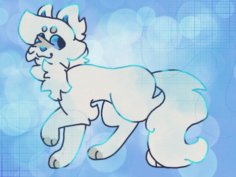 cloudtail :0