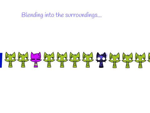 ElementCattos scene time (Featuring Braidenium)