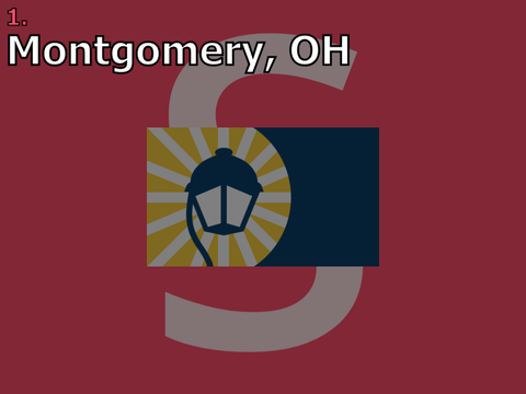 flag band: my honest opinion on these flags