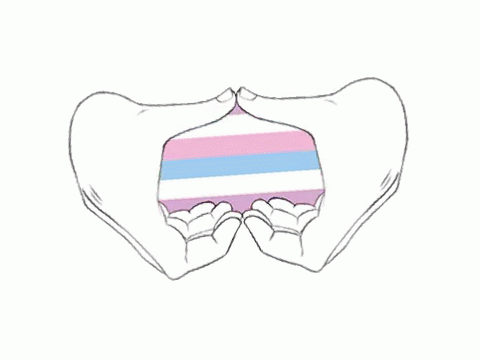 Remix if LGBTQ+ is safe on your account  remix