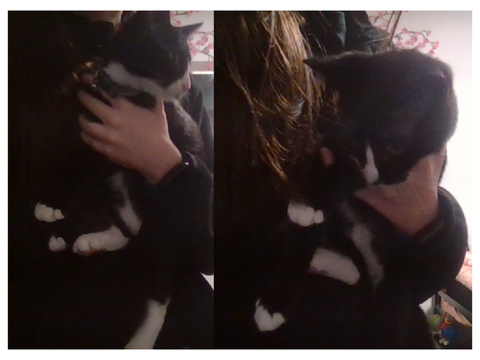 My new kitten!!!